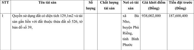 Ngày 18/3/2022, đấu giá quyền sử dụng đất tại huyện Phú Riềng, tỉnh Bình Phước ảnh 1