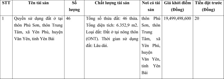 Ngày 12/3/2022, đấu giá quyền sử dụng đất tại huyện Văn Yên, tỉnh Yên Bái ảnh 1
