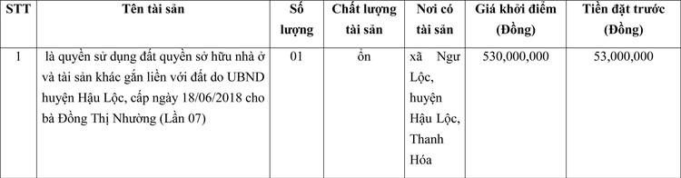 Ngày 15/3/2022, đấu giá quyền sử dụng đất tại huyện Hậu Lộc, tỉnh Thanh Hóa ảnh 1