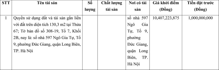 Ngày 21/3/2022, đấu giá quyền sử dụng đất tại quận Long Biên, Hà Nội ảnh 1