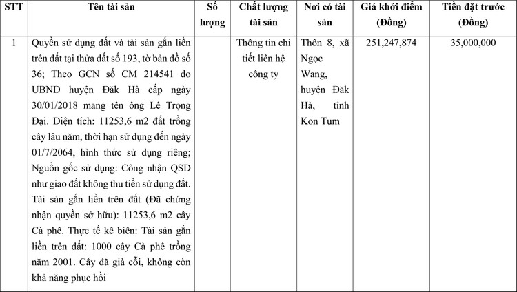 Ngày 24/3/2022, đấu giá quyền sử dụng đất tại huyện Đắk Hà, tỉnh Kon Tum ảnh 1