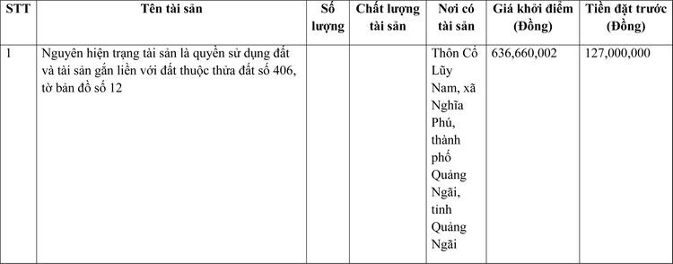 Ngày 1/4/2022, đấu giá quyền sử dụng đất tại thành phố Quảng Ngãi, tỉnh Quảng Ngãi ảnh 1