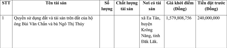 Ngày 18/3/2022, đấu giá quyền sử dụng đất tại huyện Krông Năng, tỉnh Đăk Lăk ảnh 1
