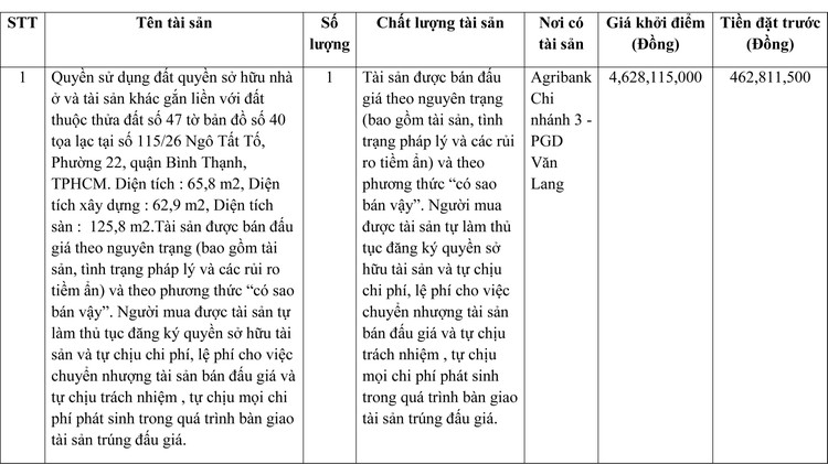 Ngày 24/3/2022, đấu giá quyền sử dụng đất tại quận Bình Thạnh, TP.HCM ảnh 1