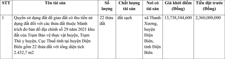 Ngày 19/3/2022, đấu giá quyền sử dụng đất tại huyện Điện Biên, tỉnh Điện Biên ảnh 1