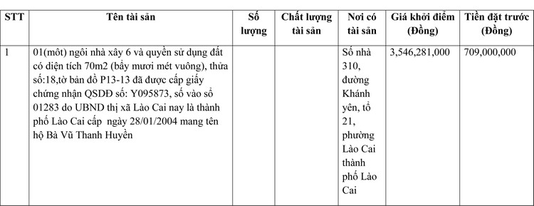 Ngày 24/3/2022, đấu giá quyền sử dụng đất tại thành phố Lào Cai, tỉnh Lào Cai ảnh 1