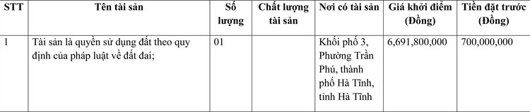 Ngày 18/3/2022, đấu giá quyền sử dụng đất tại thành phố Hà Tĩnh, tỉnh Hà Tĩnh ảnh 1