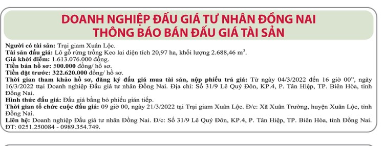 Ngày 21/3/2022, đấu giá lô gỗ rừng trồng Keo tại tỉnh Đồng Nai ảnh 1