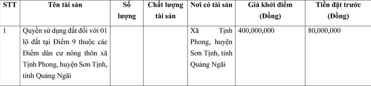 Ngày 24/3/2022, đấu giá quyền sử dụng đất tại huyện Sơn Tịnh, tỉnh Quảng Ngãi ảnh 1