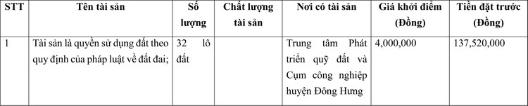 Ngày 24/3/2022, đấu giá quyền sử dụng đất tại huyện Đông Hưng, tỉnh Thái Bình ảnh 1
