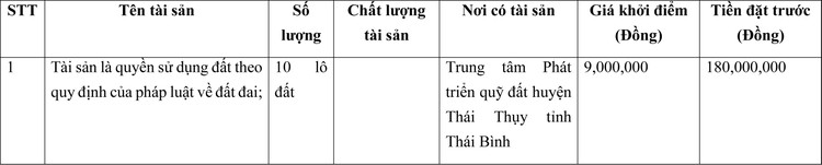 Ngày 8/3/2022, đấu giá quyền sử dụng đất tại huyện Thái Thụy, tỉnh Thái Bình ảnh 1