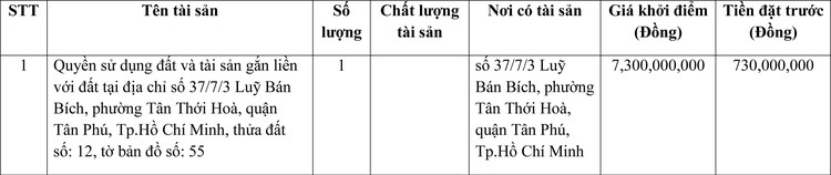 Ngày 1/4/2022, đấu giá quyền sử dụng đất tại quận Tân Phú, TP.HCM ảnh 1