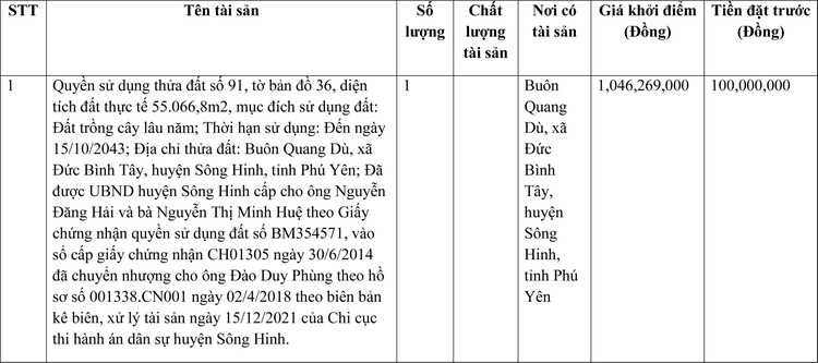 Ngày 7/4/2022, đấu giá quyền sử dụng đất tại huyện Sông Hinh, tỉnh Phú Yên ảnh 1