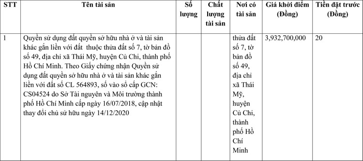 Ngày 31/3/2022, đấu giá quyền sử dụng đất tại huyện Củ Chi, TP.HCM ảnh 1