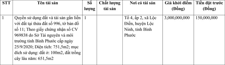 Ngày 31/3/2022, đấu giá quyền sử dụng đất tại huyện Lộc Ninh, tỉnh Bình Phước ảnh 1