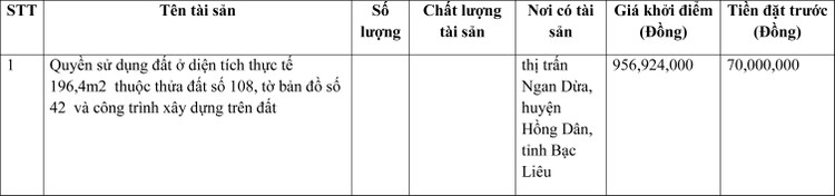 Ngày 7/4/2022, đấu giá quyền sử dụng đất tại huyện Hồng Dân, tỉnh Bạc Liêu ảnh 1