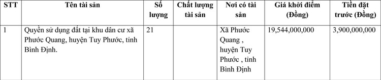 Ngày 27/3/2022, đấu giá quyền sử dụng đất tại huyện Tuy Phước, tỉnh Bình Định ảnh 1