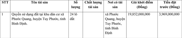 Ngày 2/4/2022, đấu giá quyền sử dụng đất tại huyện Tuy Phước, tỉnh Bình Định ảnh 1