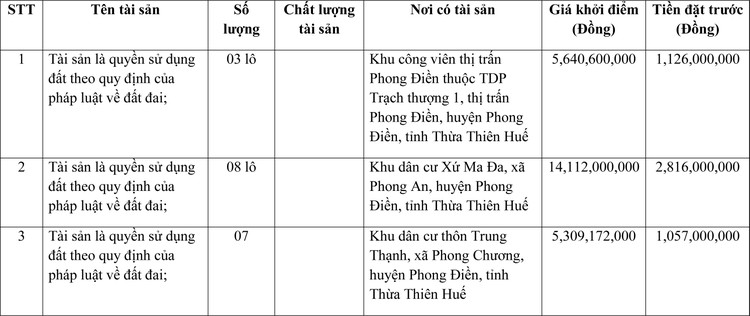 Ngày 2/4/2022, đấu giá quyền sử dụng đất tại huyện Phong Điền, tỉnh Thừa Thiên Huế ảnh 1