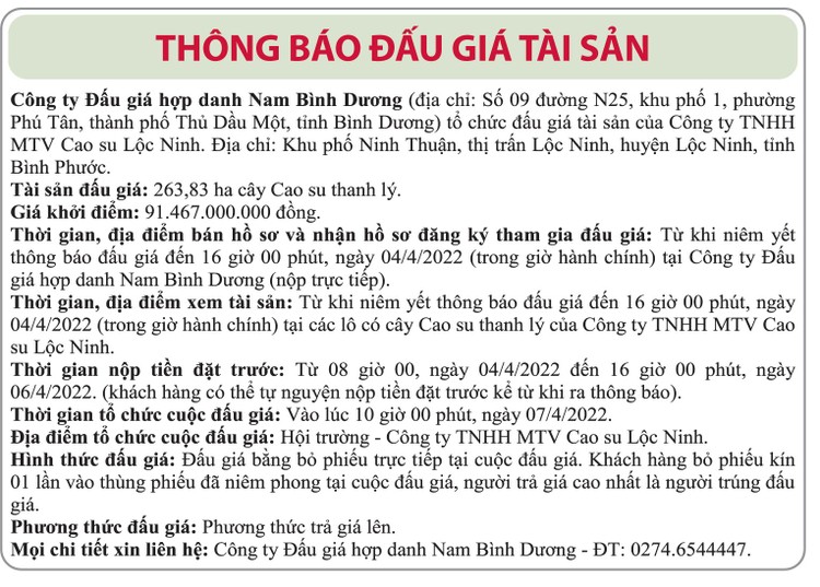 Ngày 7/4/2022, đấu giá cây cao su thanh lý tại tỉnh Bình Phước ảnh 1