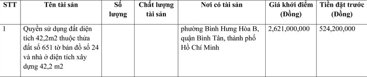 Ngày 31/3/2022, đấu giá quyền sử dụng đất tại quận Bình Tân, thành phố Hồ Chí Minh ảnh 1