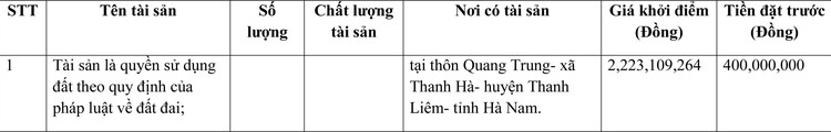 Ngày 8/4/2022, đấu giá quyền sử dụng đất tại huyện Thanh Liêm, tỉnh Hà Nam ảnh 1