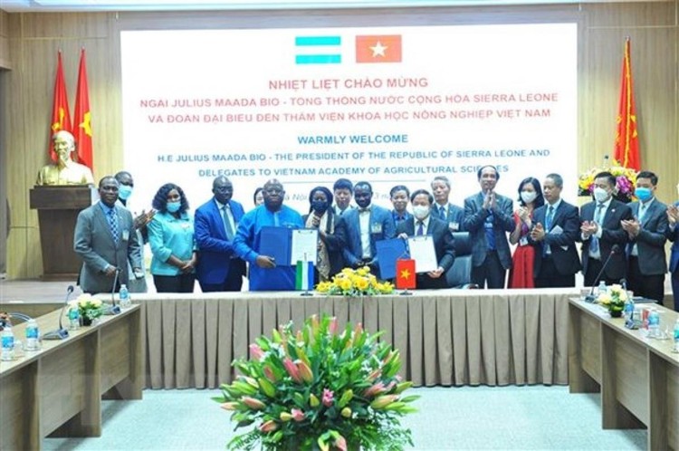 Toàn cảnh chuyến thăm chính thức Việt Nam của Tổng thống Sierra Leone và phu nhân ảnh 16