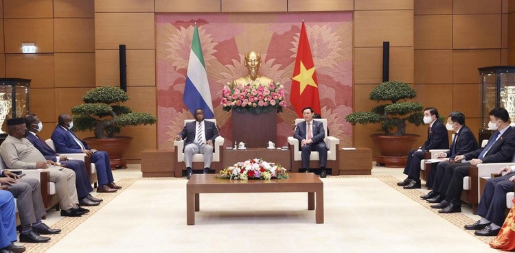 Toàn cảnh chuyến thăm chính thức Việt Nam của Tổng thống Sierra Leone và phu nhân ảnh 8