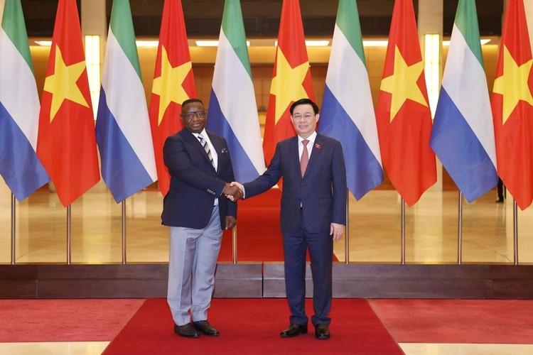 Toàn cảnh chuyến thăm chính thức Việt Nam của Tổng thống Sierra Leone và phu nhân ảnh 9