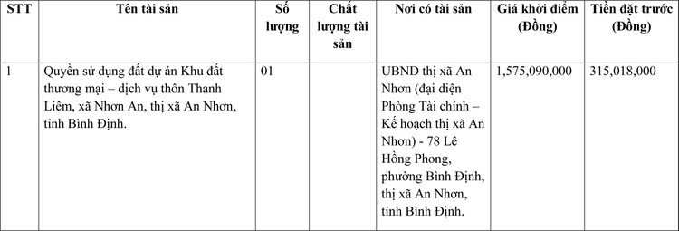Ngày 16/4/2022, đấu giá quyền sử dụng đất tại thị xã An Nhơn, tỉnh Bình Định ảnh 1