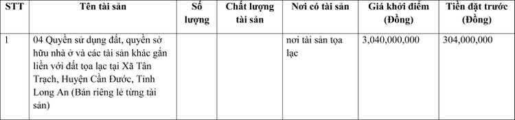 Ngày 25/3/2022, đấu giá quyền sử dụng đất tại huyện Cần Đước, tỉnh Long An ảnh 1