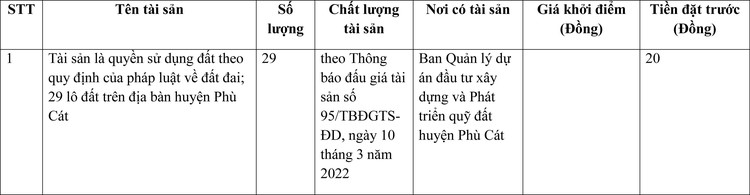 Ngày 4/4/2022, đấu giá quyền sử dụng đất tại huyện Phù Cát, tỉnh Bình Định ảnh 1