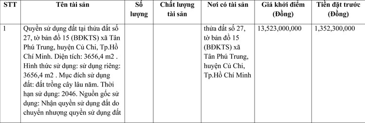Ngày 25/3/2022, đấu giá quyền sử dụng đất tại huyện Củ Chi, TP.HCM ảnh 1