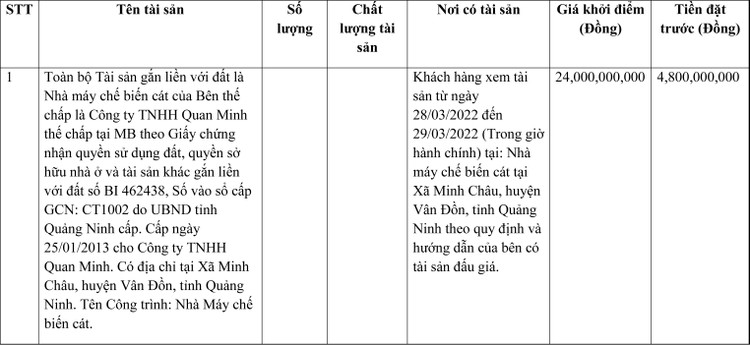 Ngày 1/4/2022, đấu giá quyền sử dụng đất tại huyện Vân Đồn, tỉnh Quảng Ninh ảnh 1