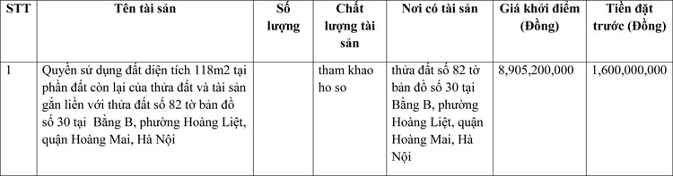 Ngày 7/4/2022, đấu giá quyền sử dụng đất tại quận Hoàng Mai, Hà Nội ảnh 1