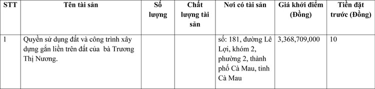 Ngày 11/4/2022, đấu giá quyền sử dụng đất tại thành phố Cà Mau, tỉnh Cà Mau ảnh 1