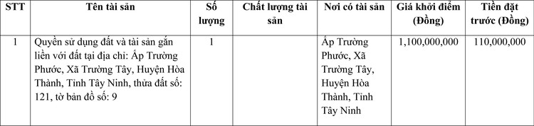 Ngày 7/4/2022, đấu giá quyền sử dụng đất tại huyện Hòa Thành, tỉnh Tây Ninh ảnh 1