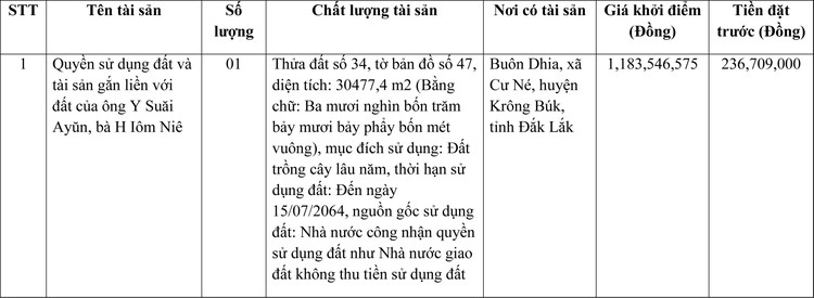 Ngày 14/4/2022, đấu giá quyền sử dụng đất tại huyện Krông Búk, tỉnh Đắk Lắk ảnh 1