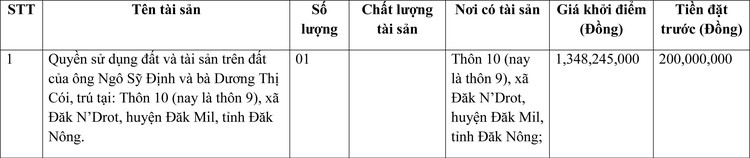 Ngày 8/4/2022, đấu giá quyền sử dụng đất tại huyện Đăk Mil, tỉnh Đắk Nông ảnh 1