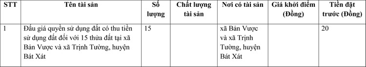 Ngày 7/4/2022, đấu giá quyền sử dụng đất tại huyện Bát Xát, tỉnh Lào Cai ảnh 1
