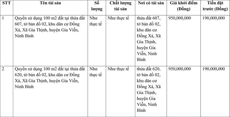 Ngày 4/4/2022, đấu giá quyền sử dụng đất tại huyện Gia Viễn (tỉnh Ninh Bình) và thị xã Sơn Tây (Hà Nội) ảnh 1