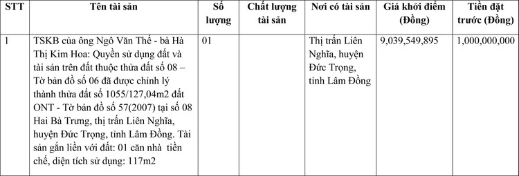 Ngày 15/4/2022, đấu giá quyền sử dụng đất tại huyện Đức Trọng, tỉnh Lâm Đồng ảnh 1