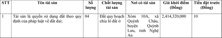 Ngày 12/4/2022, đấu giá quyền sử dụng đất tại huyện Quỳnh Lưu, tỉnh Nghệ An ảnh 1