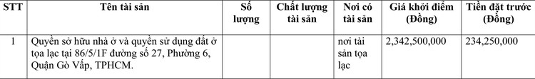 Ngày 25/4/2022, đấu giá quyền sử dụng đất tại quận Gò Vấp, TP.HCM ảnh 1