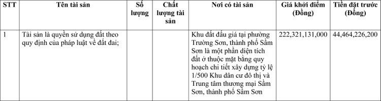 Ngày 21/4/2022, đấu giá quyền sử dụng đất tại TP.Sầm Sơn, tỉnh Thanh Hóa ảnh 1