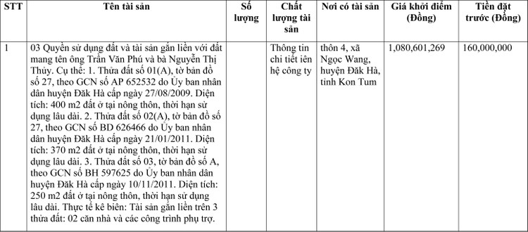 Ngày 9/5/2022, đấu giá quyền sử dụng đất tại huyện Đắk Hà, tỉnh Kon Tum ảnh 1