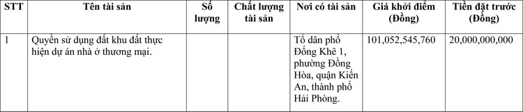 Ngày 21/4/2022, đấu giá quyền sử dụng đất tại quận Kiến An, thành phố Hải Phòng ảnh 1