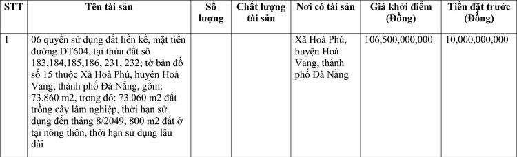 Ngày 22/4/2022, đấu giá quyền sử dụng đất tại huyện Hoà Vang, thành phố Đà Nẵng ảnh 1