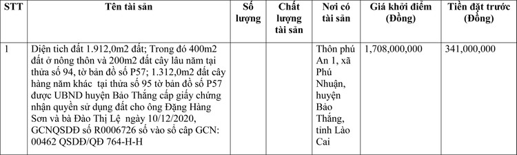 Ngày 22/4/2022, đấu giá quyền sử dụng đất tại huyện Bảo Thắng, tỉnh Lào Cai ảnh 1