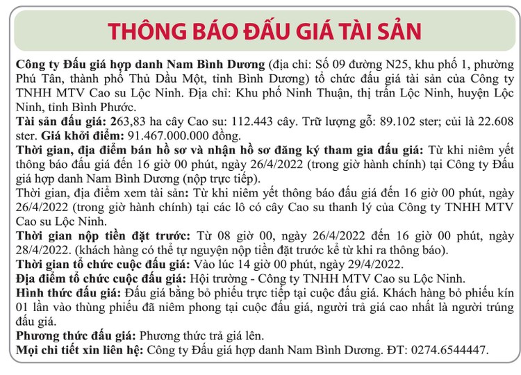 Ngày 29/4/2022, đấu giá 263,83 ha cây cao su tại tỉnh Bình Phước ảnh 1
